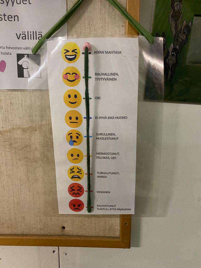Palvelut Hevostoiminta Tuikkeillen Palvelut Hevostoiminta Tuikkeillen
